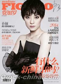 『Madame Figaro 中文版 2013年11月上』 
