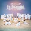 AKB48 Team TP エーケービーフォーティーエイト チームティーピー『11月的腳鍊（台湾版）』