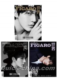 『Madame Figaro 費加羅 2024年10月D版3冊セット（鄧為、公式カード全10枚＋折込冊子3冊）』 