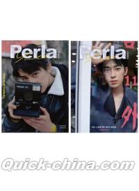 『Perla Youth 2025年C版2冊セット（本島純政、公式カード全25枚＋公式ミニポスター3枚）』 