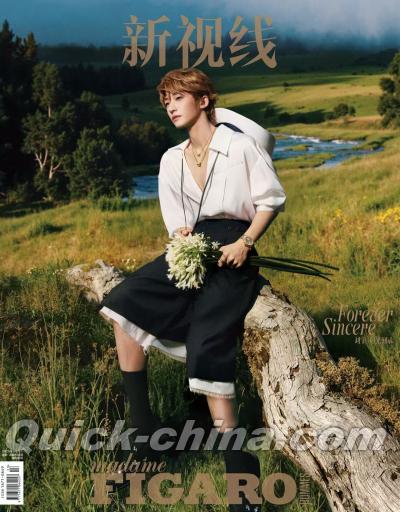 『Madame Figaro 費加羅男士 2025年8月B版（劉宇、公式カード5枚）』