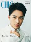 中国雑誌 健康・ファッション 小資CHIC『小資CHIC TASTYLE 2025年7月B版（許魏洲）』