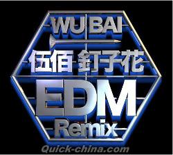 『釘子花EDM Remix（台湾版）』