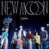 Ozone New Moon 正式平装版（台湾版）